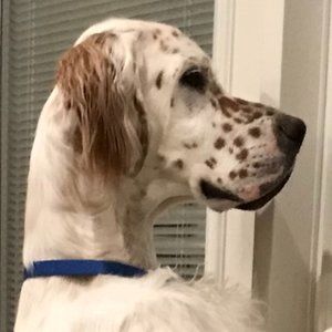 Meet your Posher, Barbara